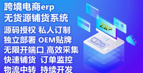 亚马逊erp系统招商加盟贴牌定制私有化独立部署 logo域名