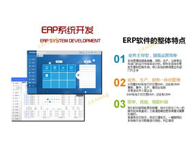 东莞erp定制开发,生产需要开发